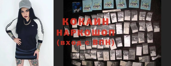 mdpv Инсар