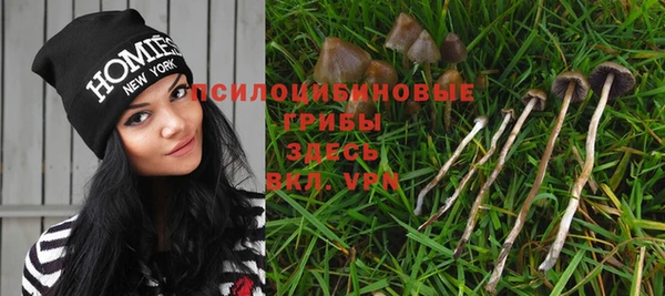 apvp Каменка
