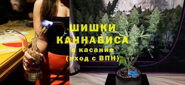 apvp Каменка