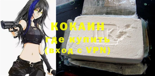 mdpv Инсар